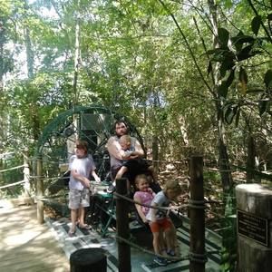 Meet your Posher, Coleen